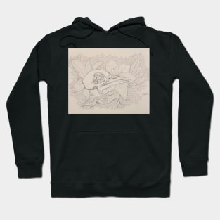 pigeon skull Hoodie